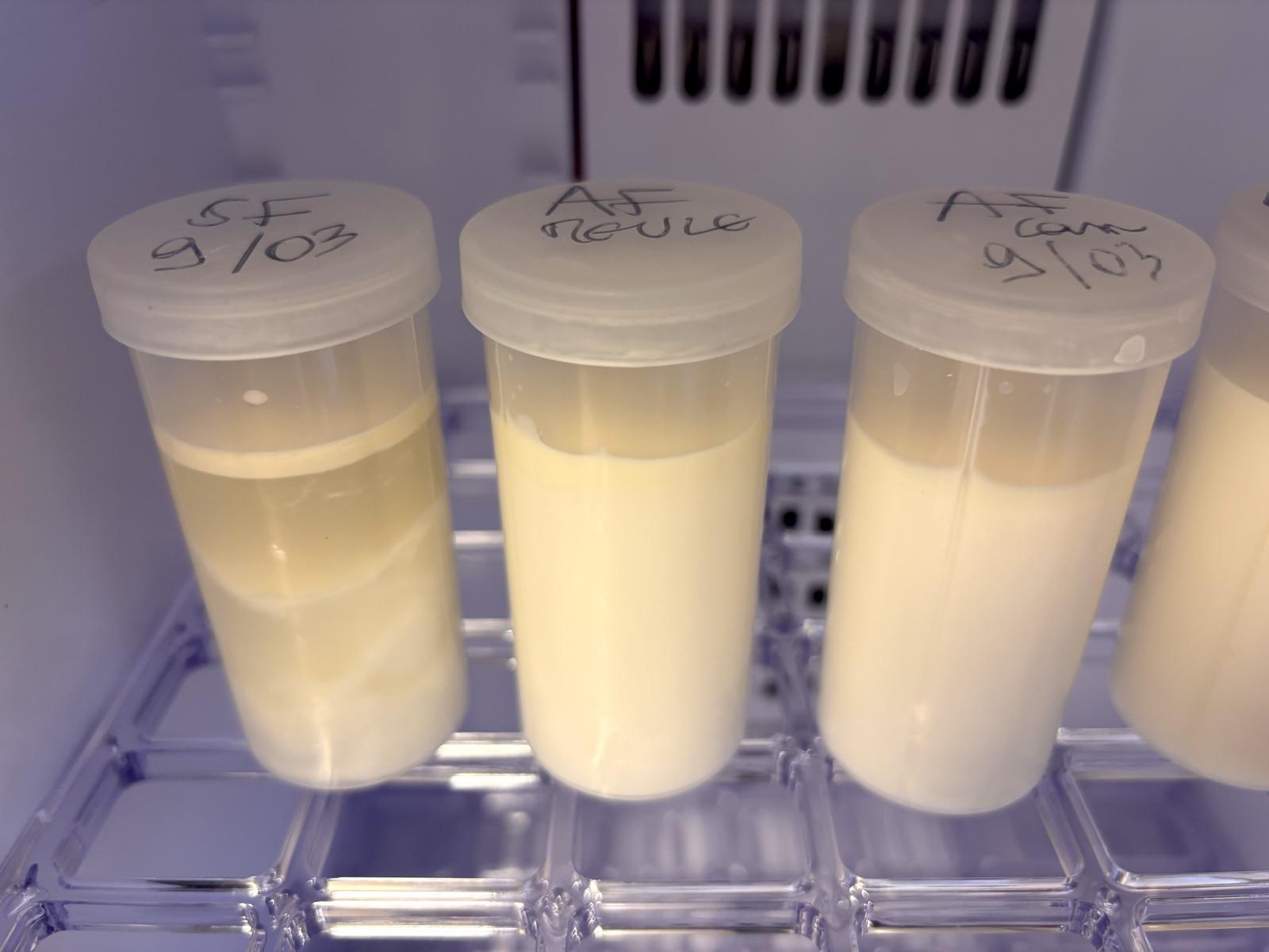 Échantillons de lait prélevés pour analyse en fromagerie
