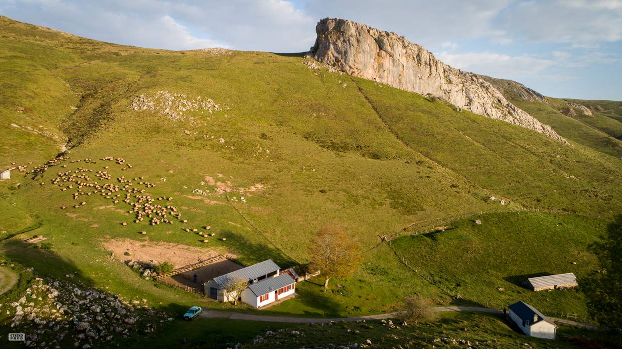 Troupeau de brebis en estive devant une bergerie, au pied d'une falaise calcaire au Pays basque